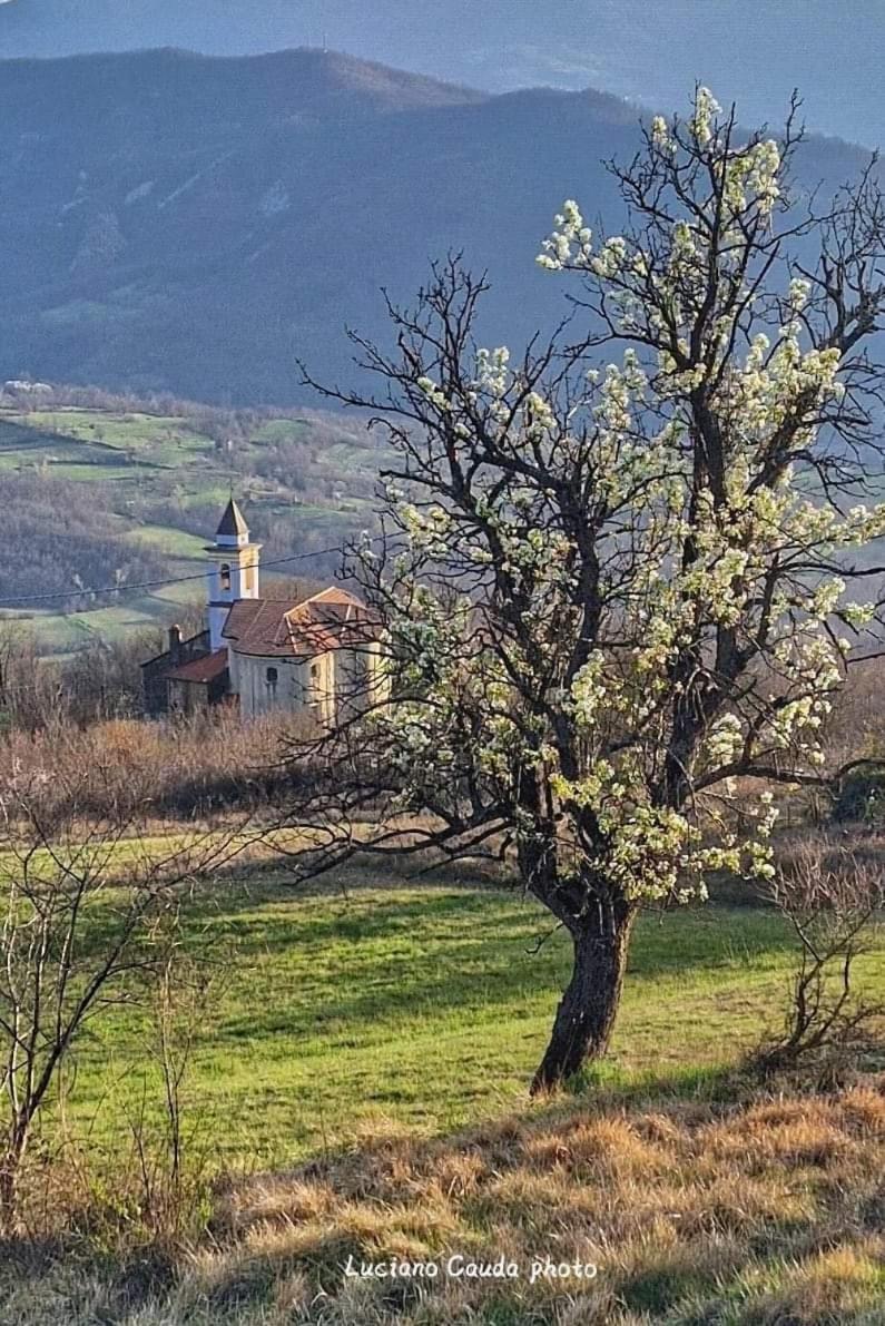 Borgo Adorno La Casa Della Lavanda מראה חיצוני תמונה